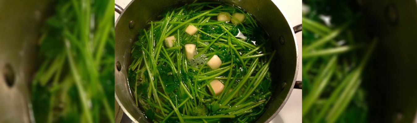 Spinach and Coriander Stem Soup